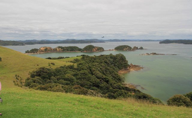 Bay of islands